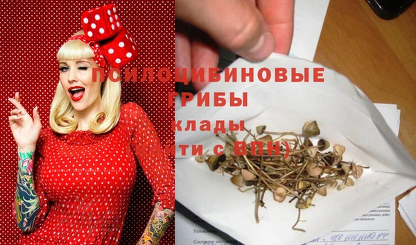 а пвп мука Новодвинск