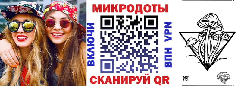 закладка  Калининск  Псилоцибиновые грибы мицелий 