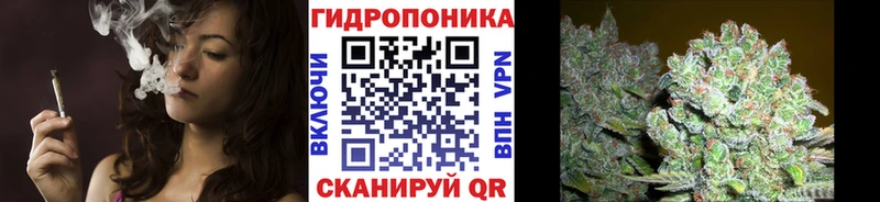 где купить наркоту  Калининск  Конопля ГИДРОПОН 